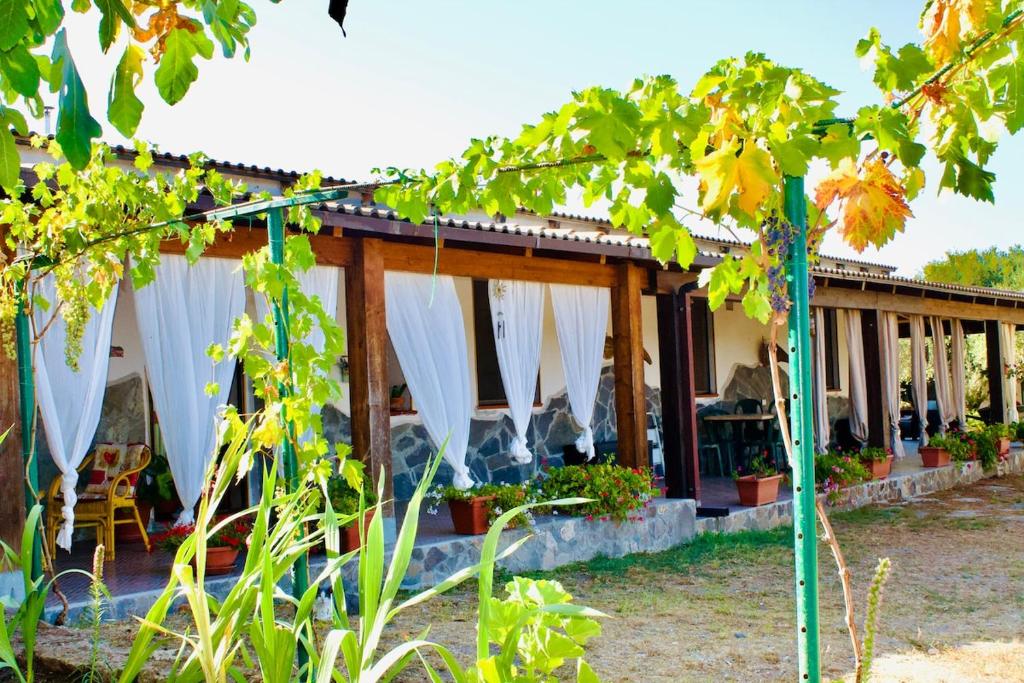 a house with white curtains and plants in the yard at Beautiful apartment surrounded by greenery in Chiaramonti