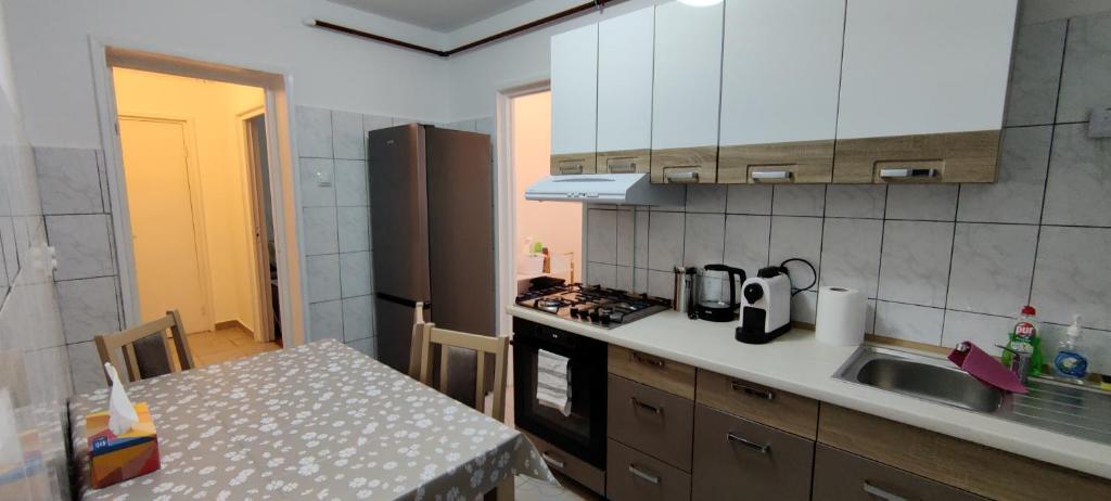 eine Küche mit Spüle und Arbeitsplatte in der Unterkunft La Muzeu in Tîrnăveni