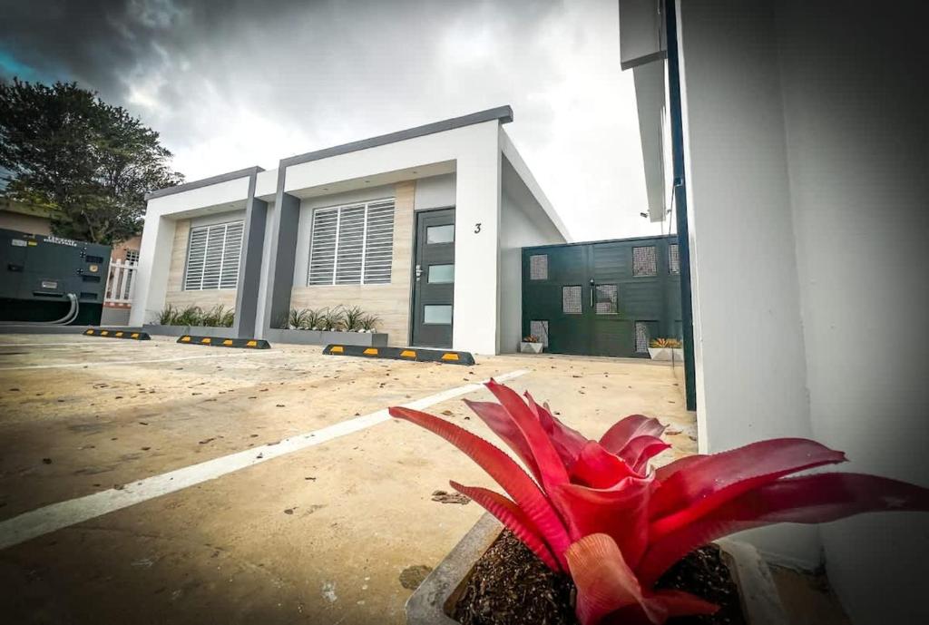 a red plant in front of a building at Isabela Luxury Escape Serenity in Isabela