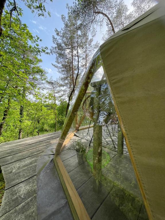 Arborea, nuits insolites au cœur de la forêt