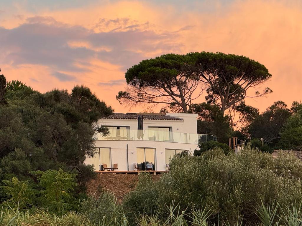 a white house on a hill with a tree at Villa Solanella in Coti-Chiavari