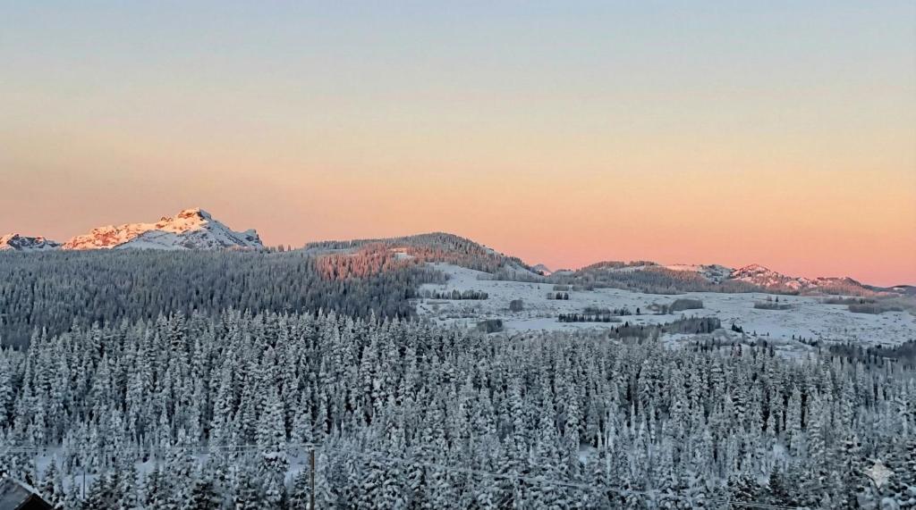 a view of a snow covered mountain with snow covered trees at True Ski-In-Ski-Out Rare 3-Bed Condo in Mount Washington