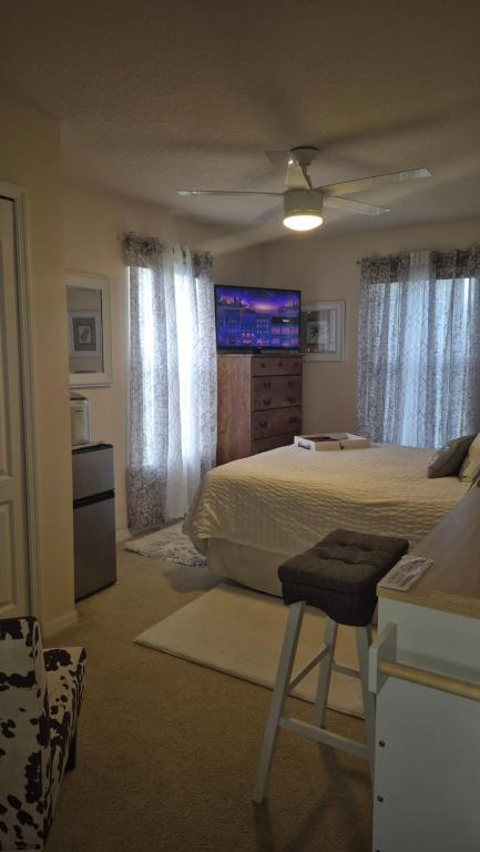 a bedroom with a bed and a tv in it at NO DAY OF BOOKING 24 HOURS NOTICE One private Master Efficency Suite Room with Bathroom for one person or couple with a pool breakfast included message here or email Floridastylz74 g mail com in Davenport