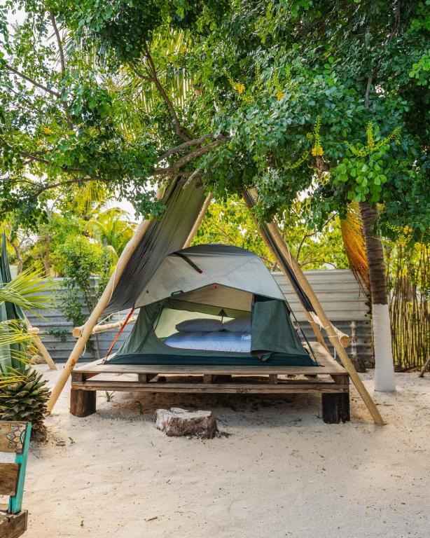 a tent sitting on a table under a tree at Camping, Glamping y Caravanas Dos Lunas in Celestún