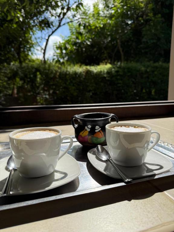 Hosteria Alto Alegre