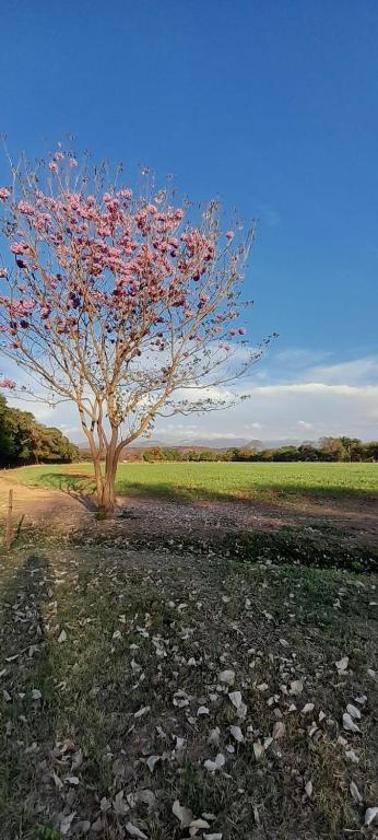 Hosteria Alto Alegre