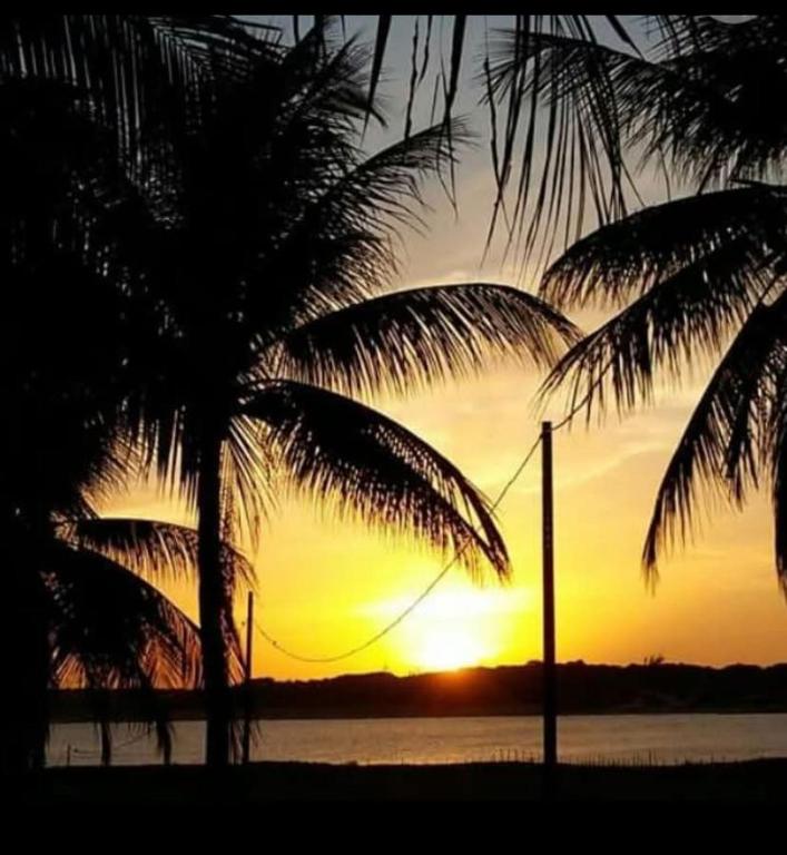 a silhouette of a palm tree in front of a sunset at Lagoa do Bonfim RN in Natal