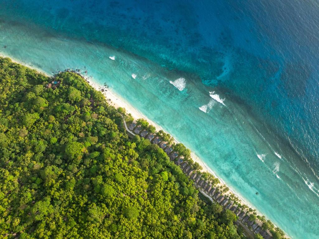 Niva Labriz Seychelles