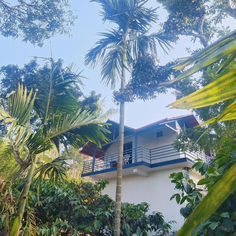 a house with a balcony in the middle of trees at Golden Valley Abode in Siddapur
