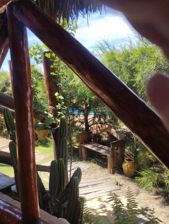 a view of a garden with a bench and cactus at Pedral Beach chalé e restaurante in Parnaíba