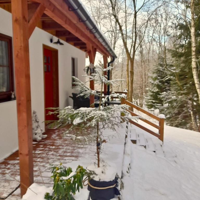a house with a christmas tree in the snow at Borówkowa Dolina in Lądek-Zdrój