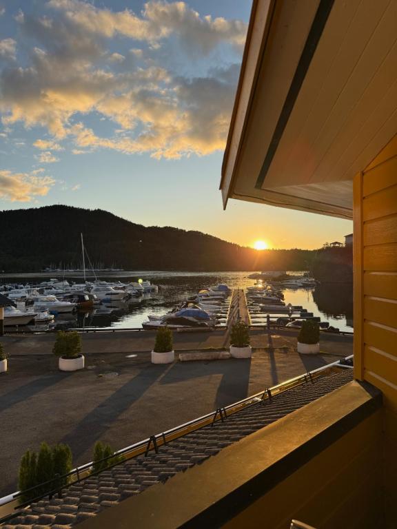 a view of a marina at sunset with boats at Askvik Marina Lägenhet i småbåtshamn med havsutsikt in Askvik