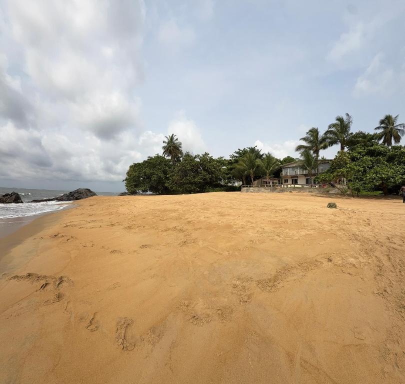 a sandy beach with palm trees and a house at Casa Nice in Kribi