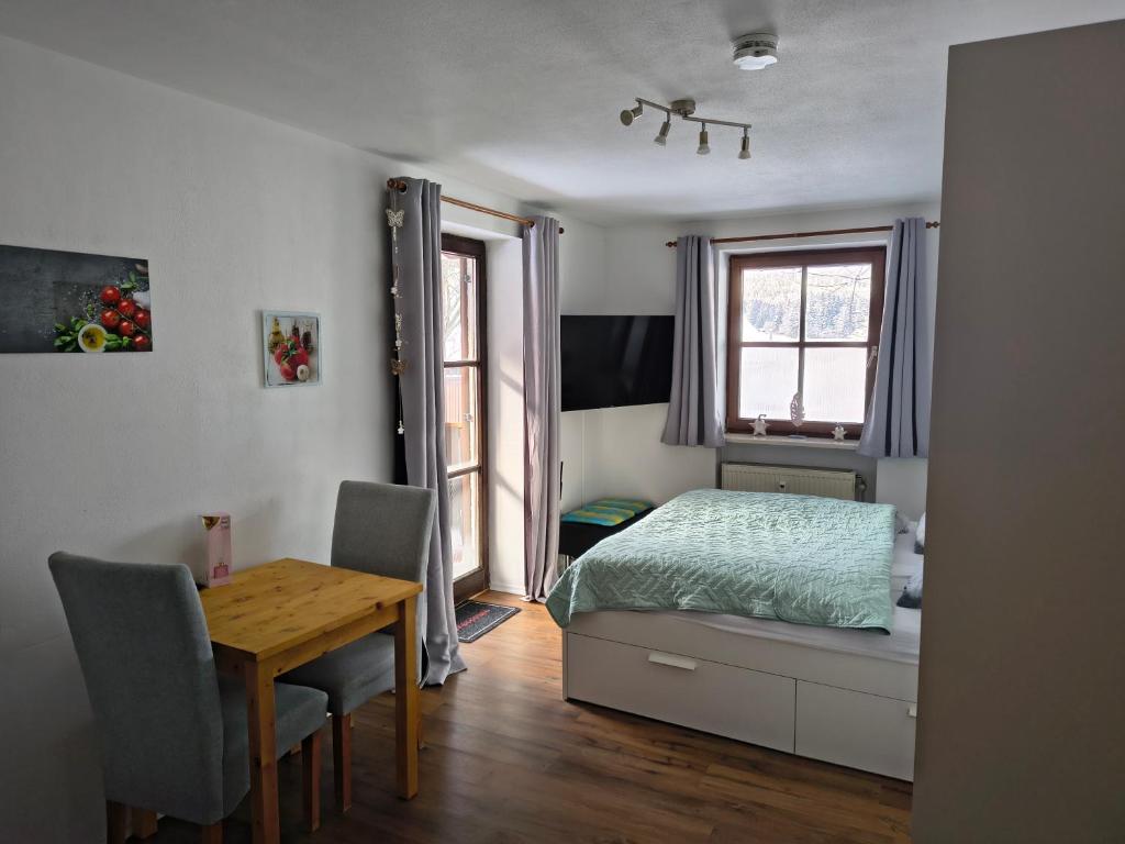 a bedroom with a bed and a desk and a table at Apartment Pool Sauna Netflix Bike Parking WIFI YTPremium in Zwiesel