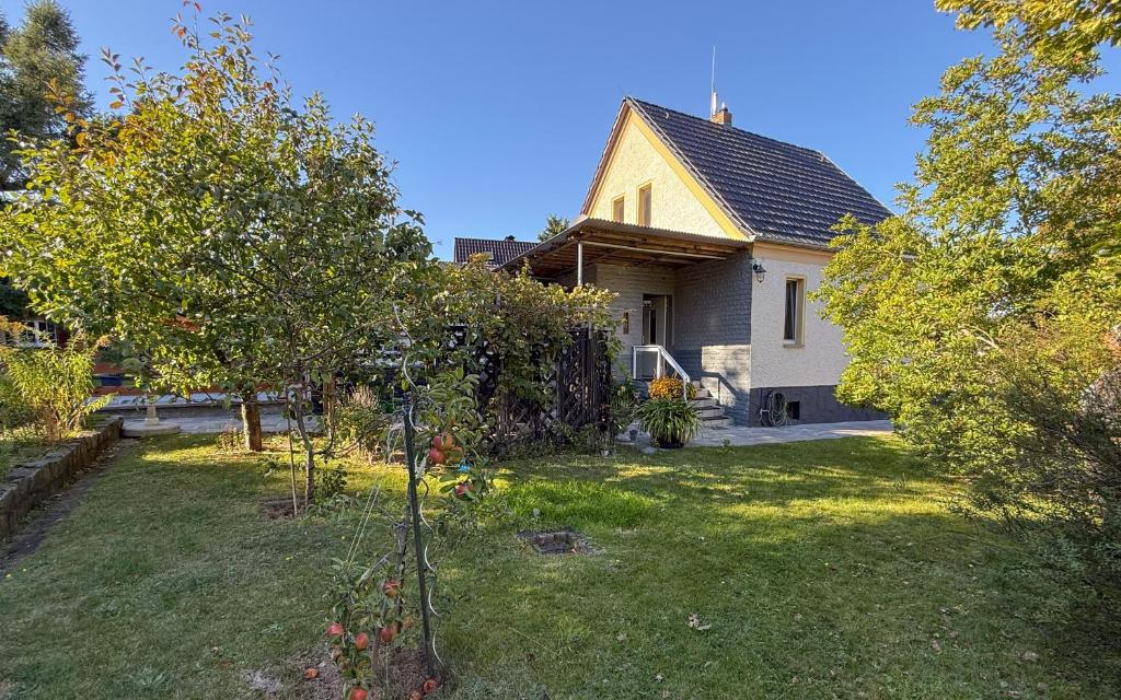 a small tree in the yard of a house at Gästehaus Barthel in Gosen