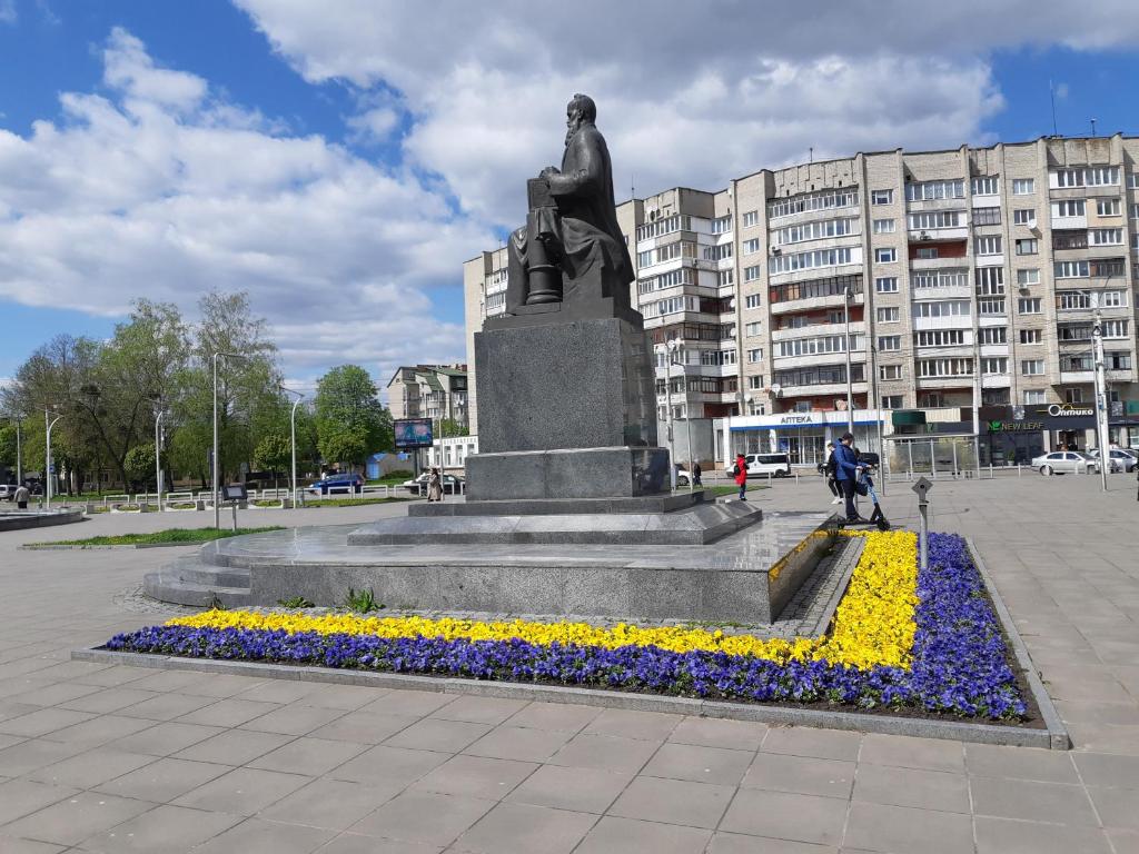Затишна однокімнатна квартира в центрі міста Луцьк фото 5