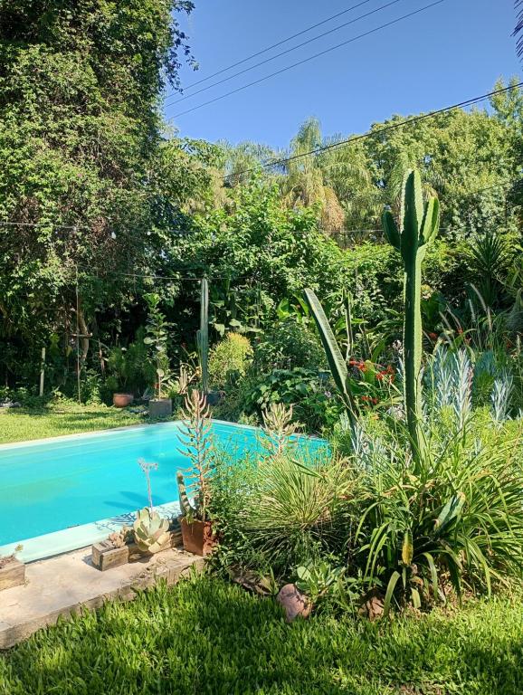 a garden with a swimming pool and plants at Kactus de la abuela in Yerba Buena