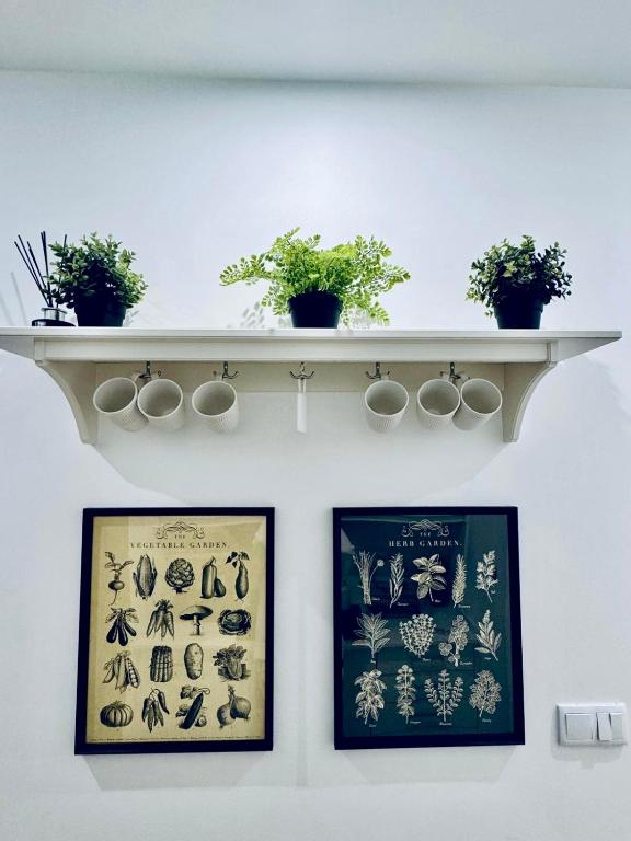 Lisboa 1912 - Alojamento de Charme - 11