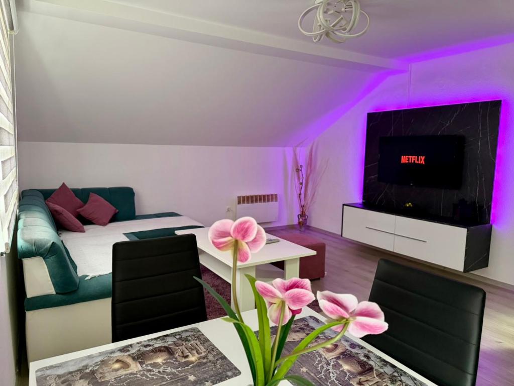 a living room with a couch and a tv at Apartment Djurdjic in Pale