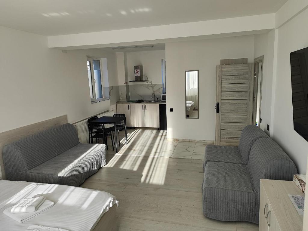 a living room with two couches and a kitchen at Max Night Dreams in Bucharest