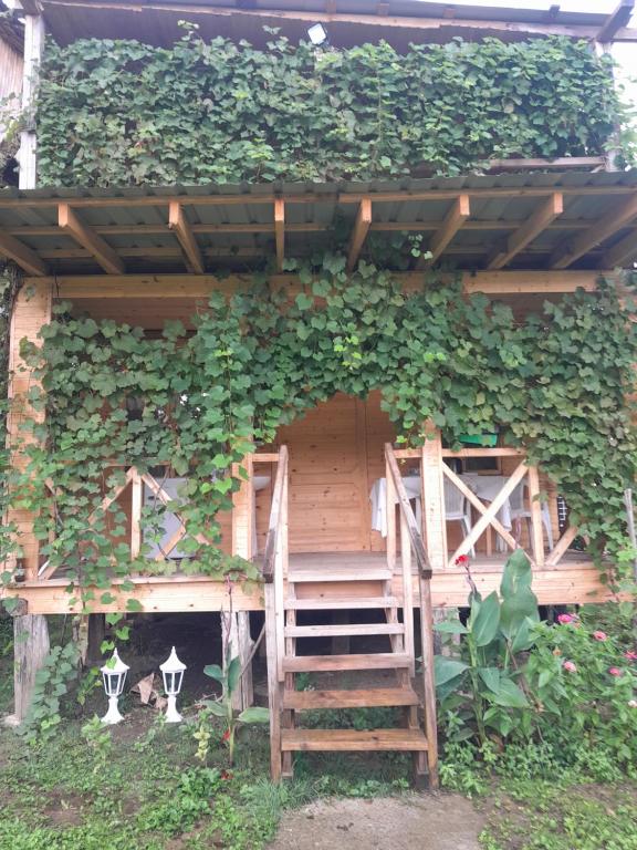 a building covered in ivy with a wooden ladder at Riverside Cottage in Martvili