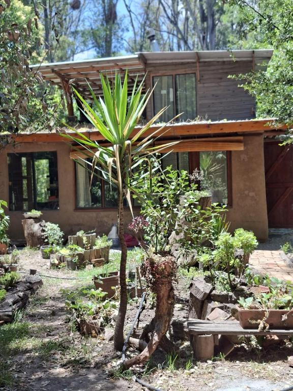 a house with a palm tree in front of it at Casa ecologica artesanal in Santa Ana