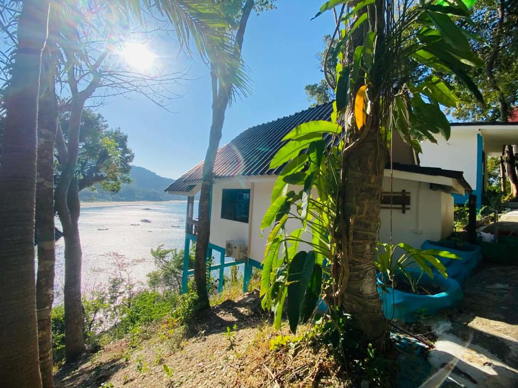 a house on the beach with a palm tree at Paradise view A7-Kantiang paradise resort- in Ko Bu Bu