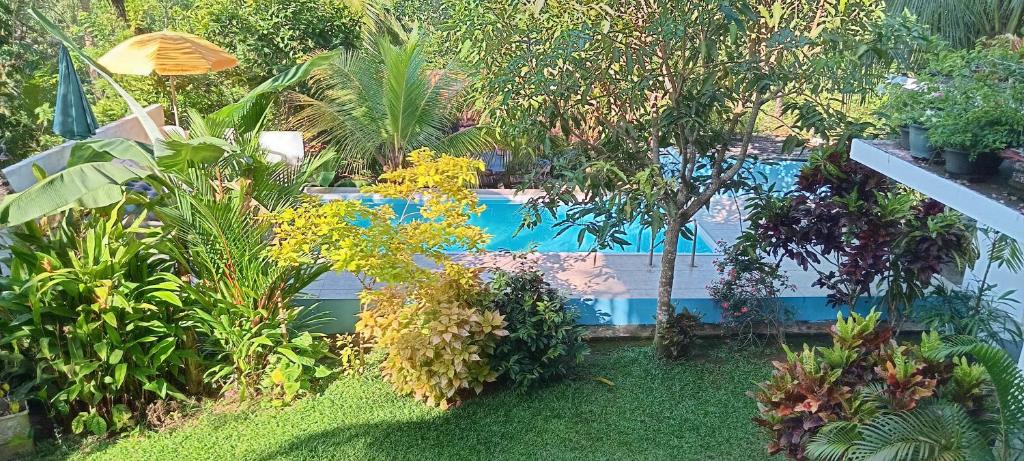 a swimming pool in a garden with trees and plants at Villa Jungle Paradise in Unawatuna
