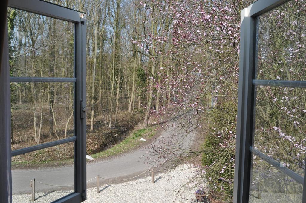 Příroda nedaleko hotelu