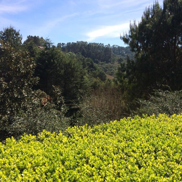  Passagem da Neblina Bed & Breakfast