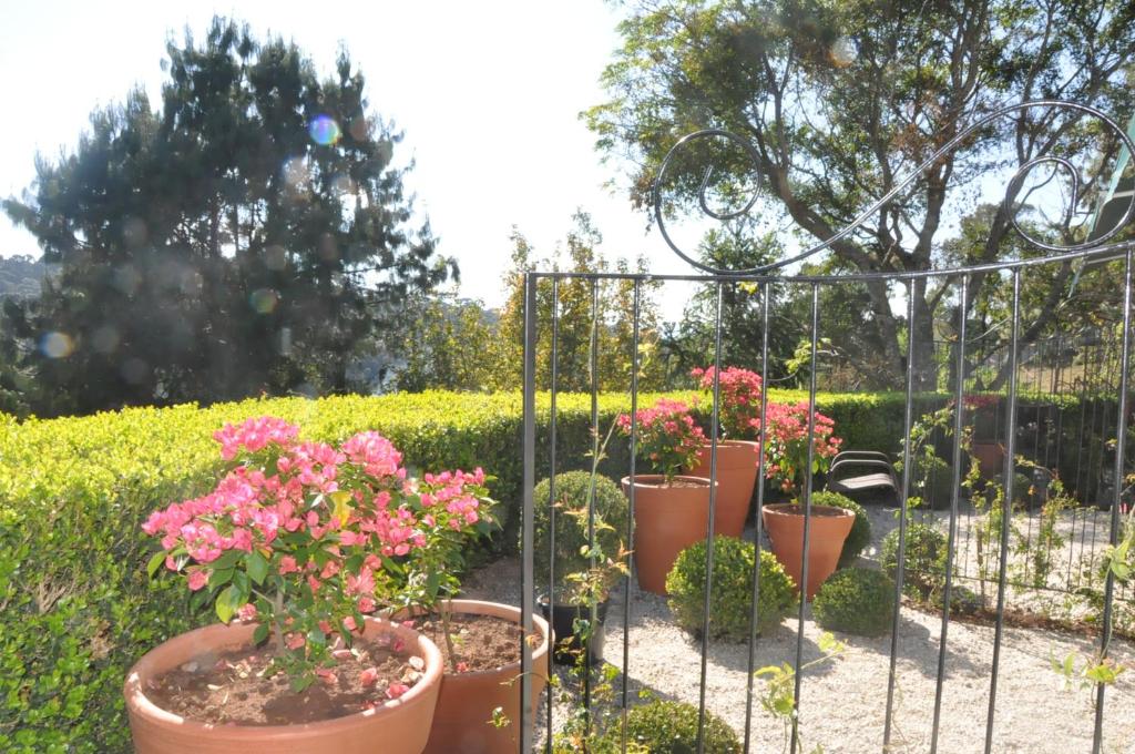  Passagem da Neblina Bed & Breakfast