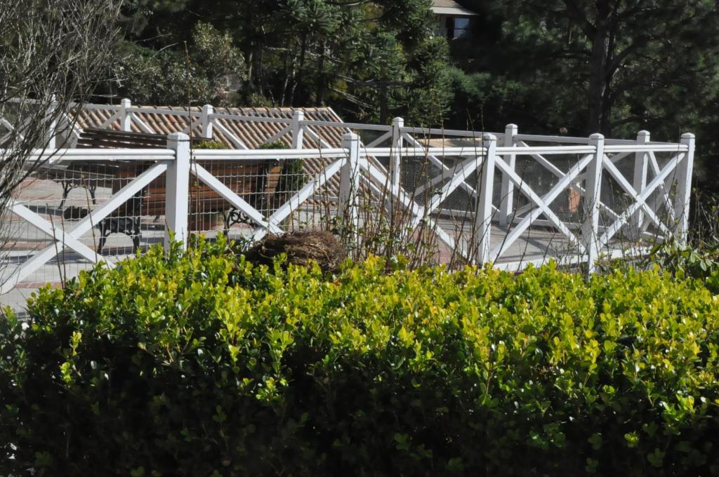  Passagem da Neblina Bed & Breakfast