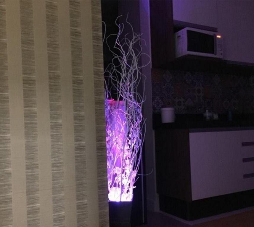  Lindo Studio Av. Ipiranga