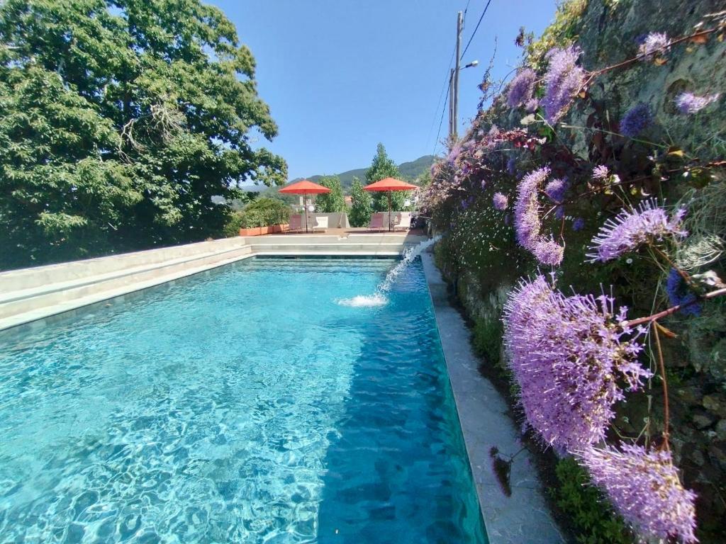 Collares Sintra Petit Palais - 1