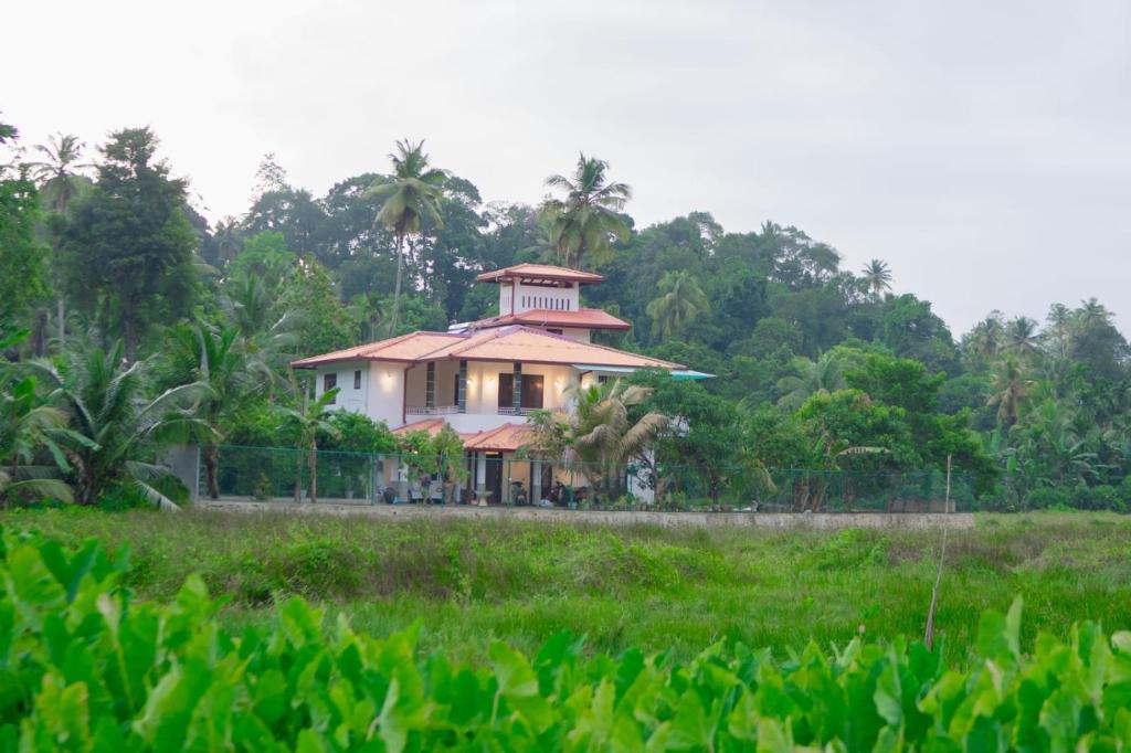 a house in the middle of a field at The Leaf Cinnamon villa in Hikkaduwa