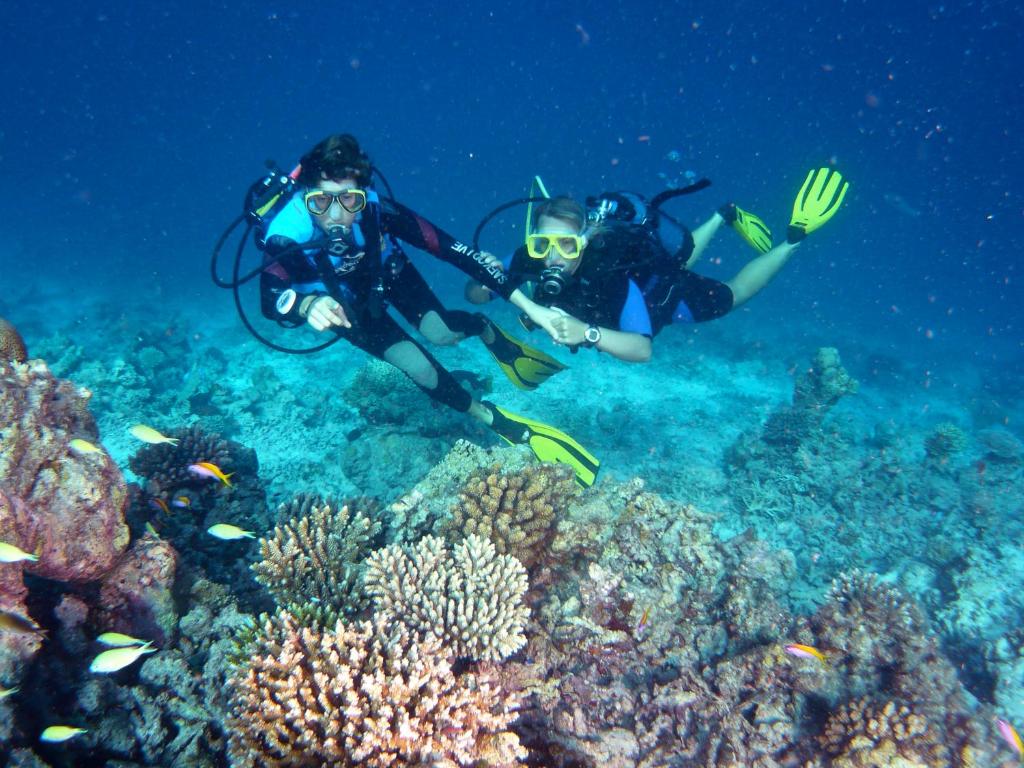 Hosté ubytování Canareef Resort Maldives