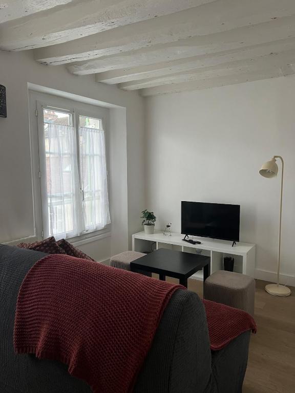 a living room with a couch and a tv at La Suite Bellifontaine in Fontainebleau