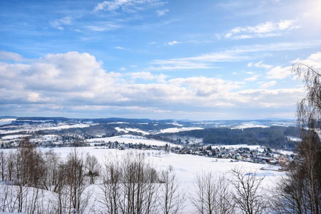 a view of a snowy field with trees and buildings at ErzZeit Urlaub mit Weitblick in Schwarzenberg/Erzgebirge