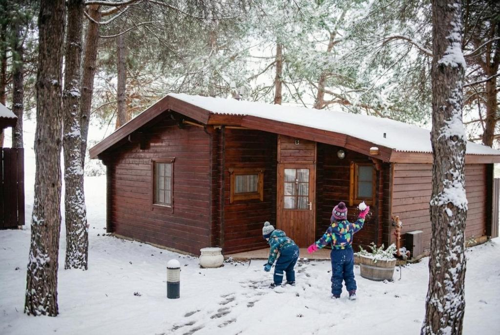 Kibbutz Ortal Tourism