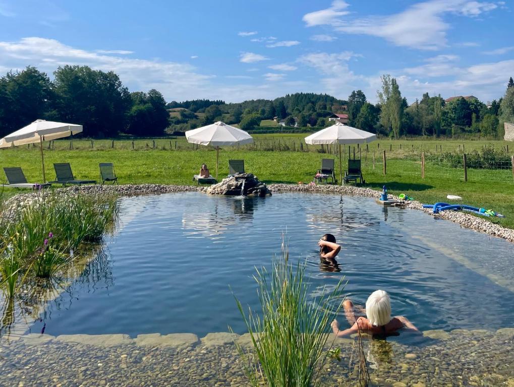two people swimming in a pool of water at L'ancien Relais de Poste*** in Saint-Dier-dʼAuvergne