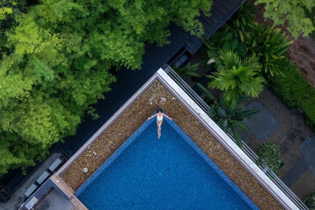 An overhead view looks down on a triangular blue pool enclosed by dense tropical planting.