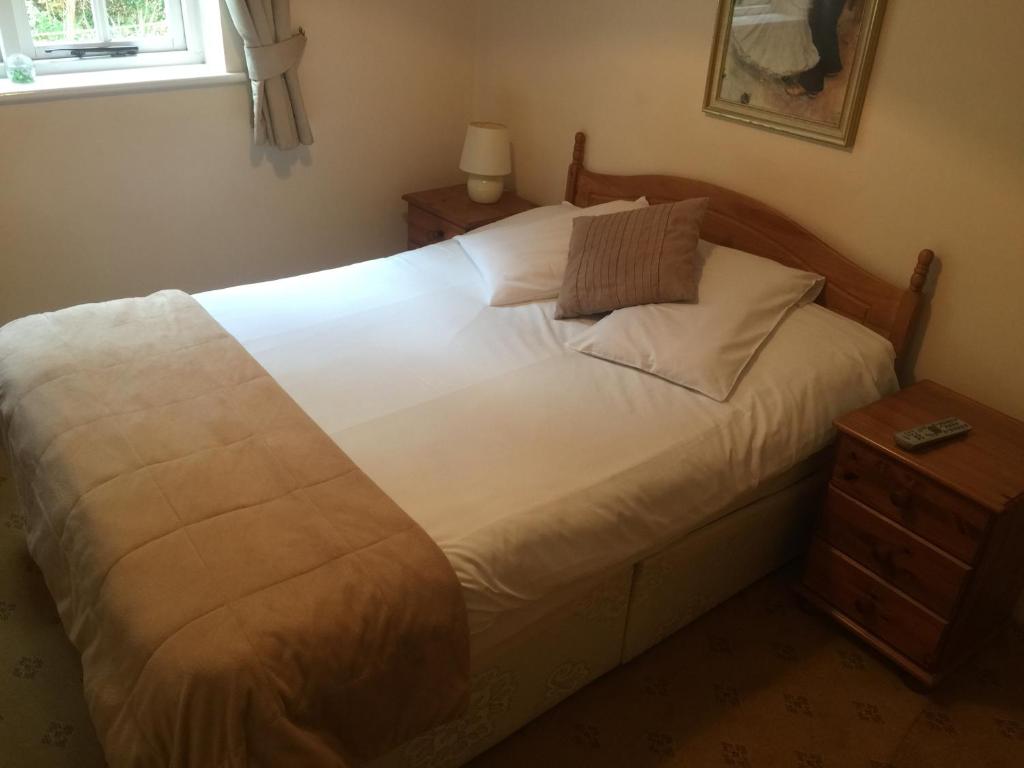The Winchfield Inn - Single Room