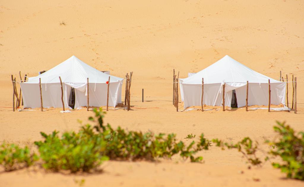 Eden Lodge - Desert Camp