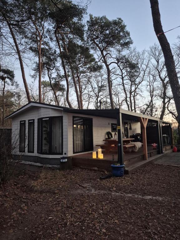a small white house with a lot of windows at Parel van het bos in Norg