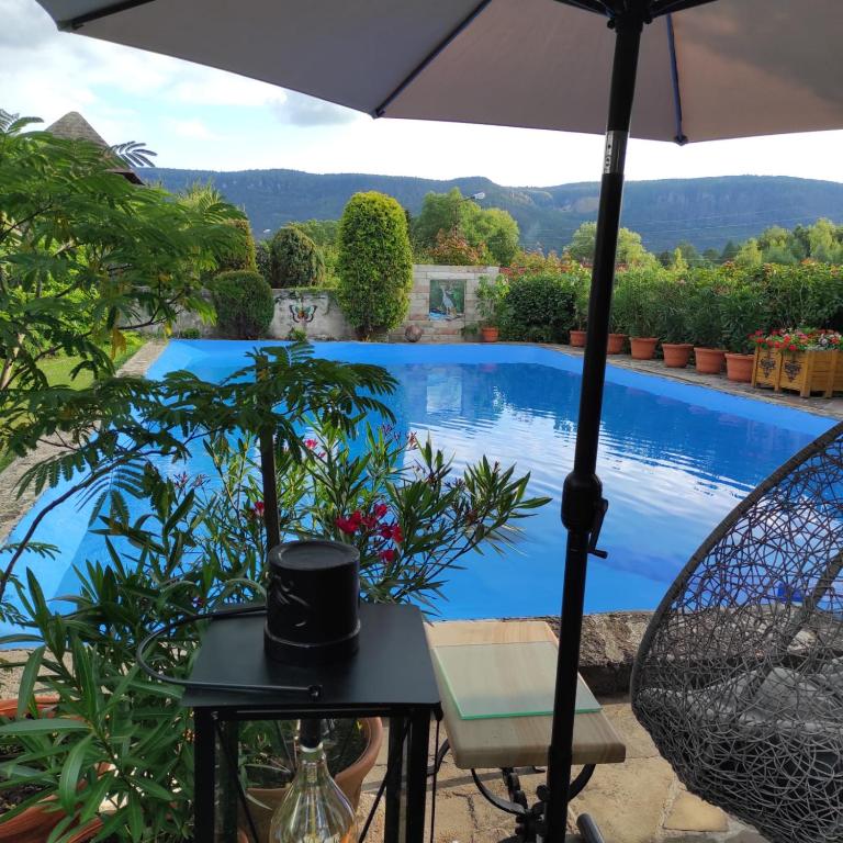 a table with an umbrella next to a swimming pool at Agroturystyka Ranczo in Radków