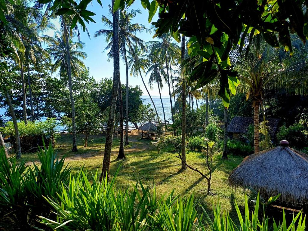 a view of the ocean from a resort with palm trees at Secret Beach Beachfront Villa in Papak