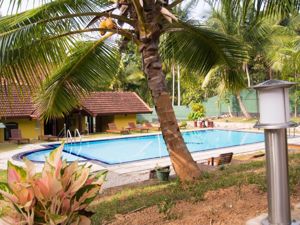 un palmier à côté d'une piscine dans l'établissement Resort Like No Other, à Uggalboda