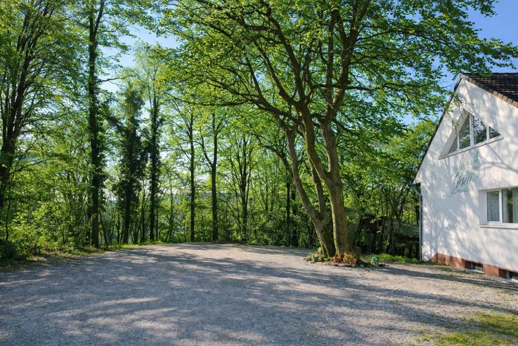an empty road next to a house and a tree at Silvio-Gesell-Tagungsstätte in Wuppertal