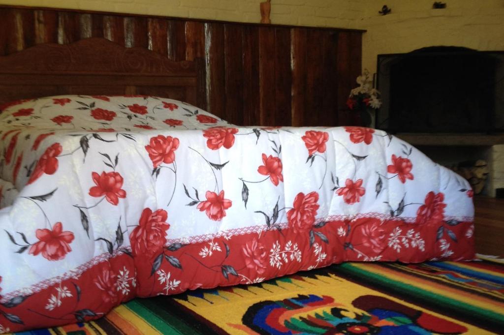 a red and white couch sitting on top of a rug at Passarim Chalé in Monte Verde