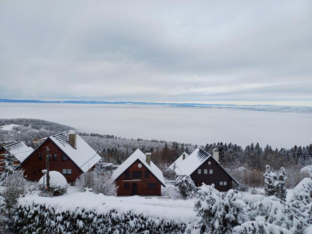 un grupo de casas cubiertas de nieve en Chalet Bear, en Thollon-les-Mémises